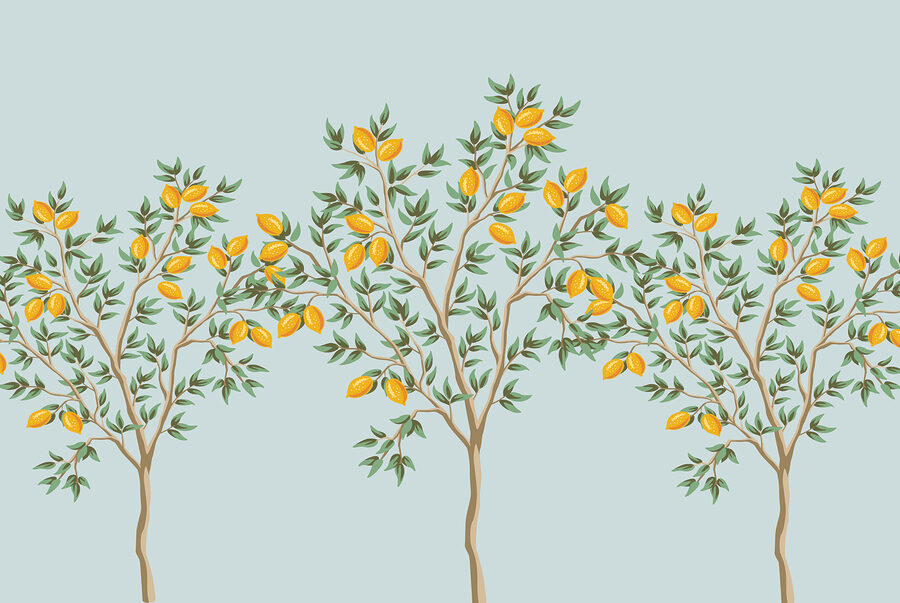 Grupo de limoneros con frutos