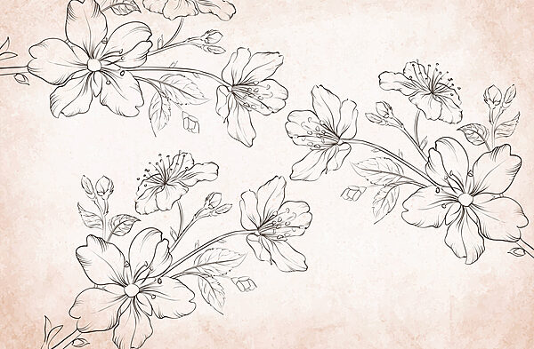 Dibujo de flores sobre fondo blanco Dibujo de flores sobre fondo blanco