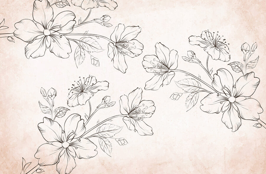 Dibujo de flores sobre fondo blanco