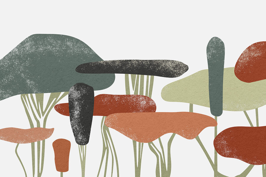 Grupo de árboles de diferentes colores