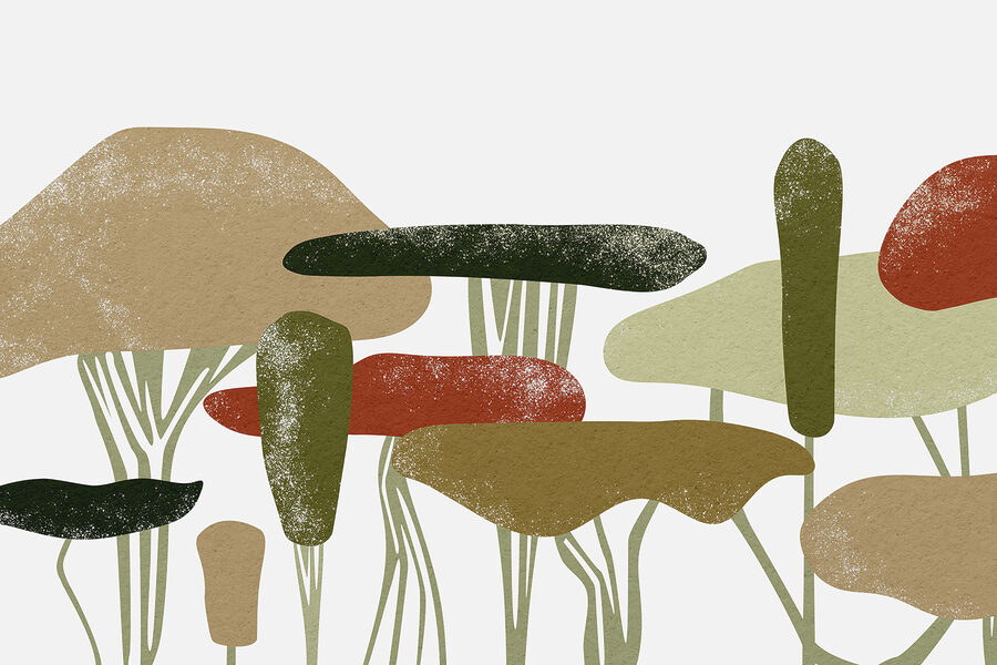 Grupo de árboles de diferentes colores
