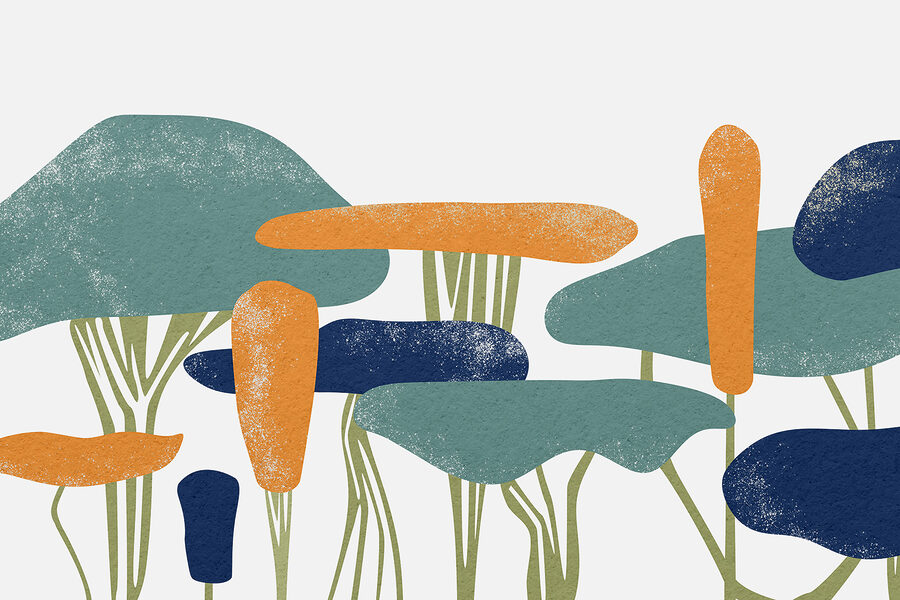 Grupo de árboles de diferentes colores