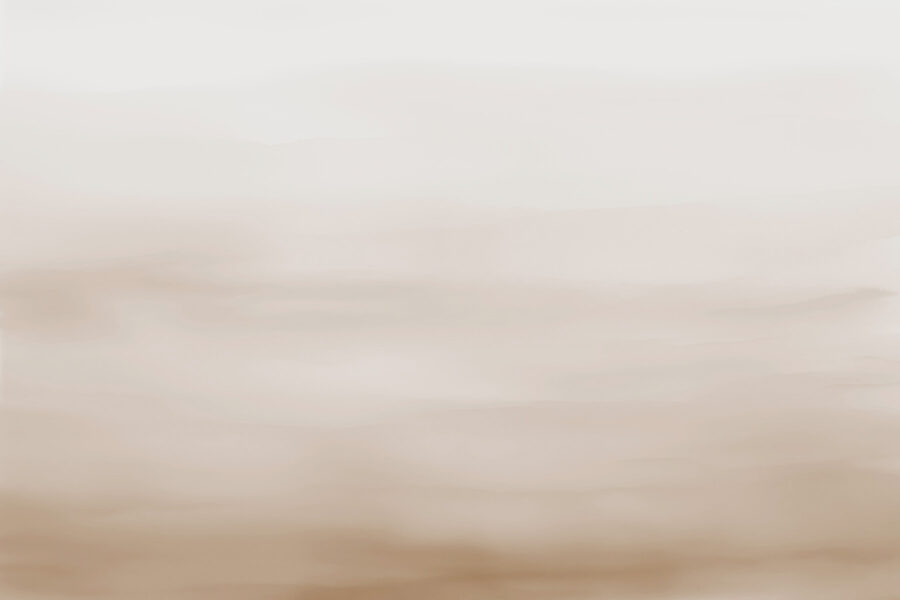 Cielo blanco y marrón