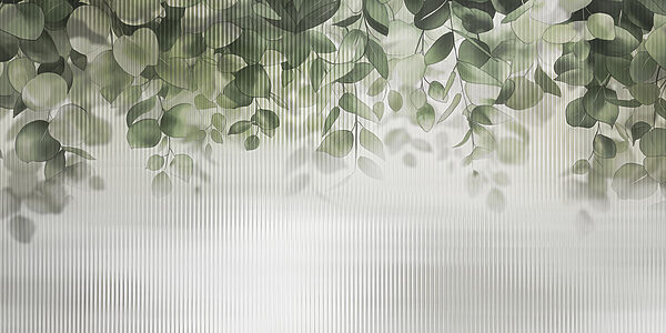 Green leaves from a window