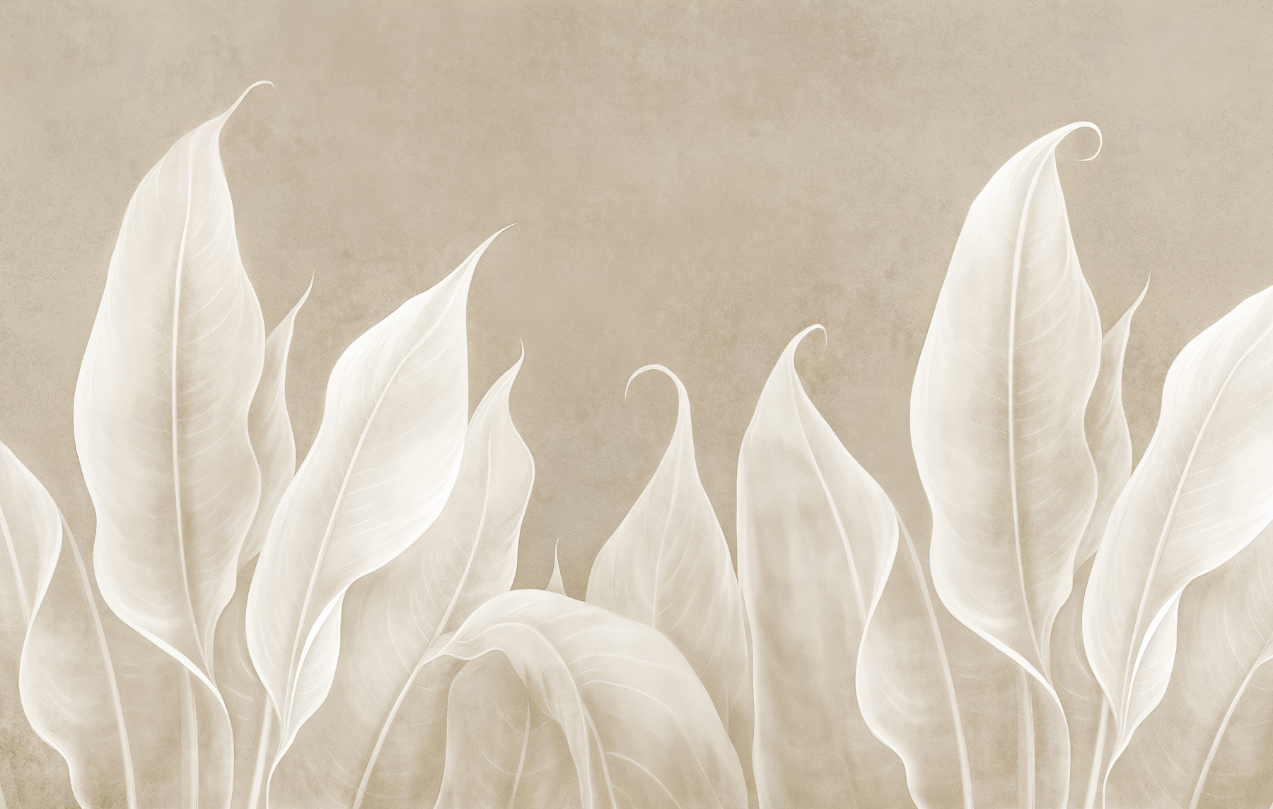 Close up of leaves