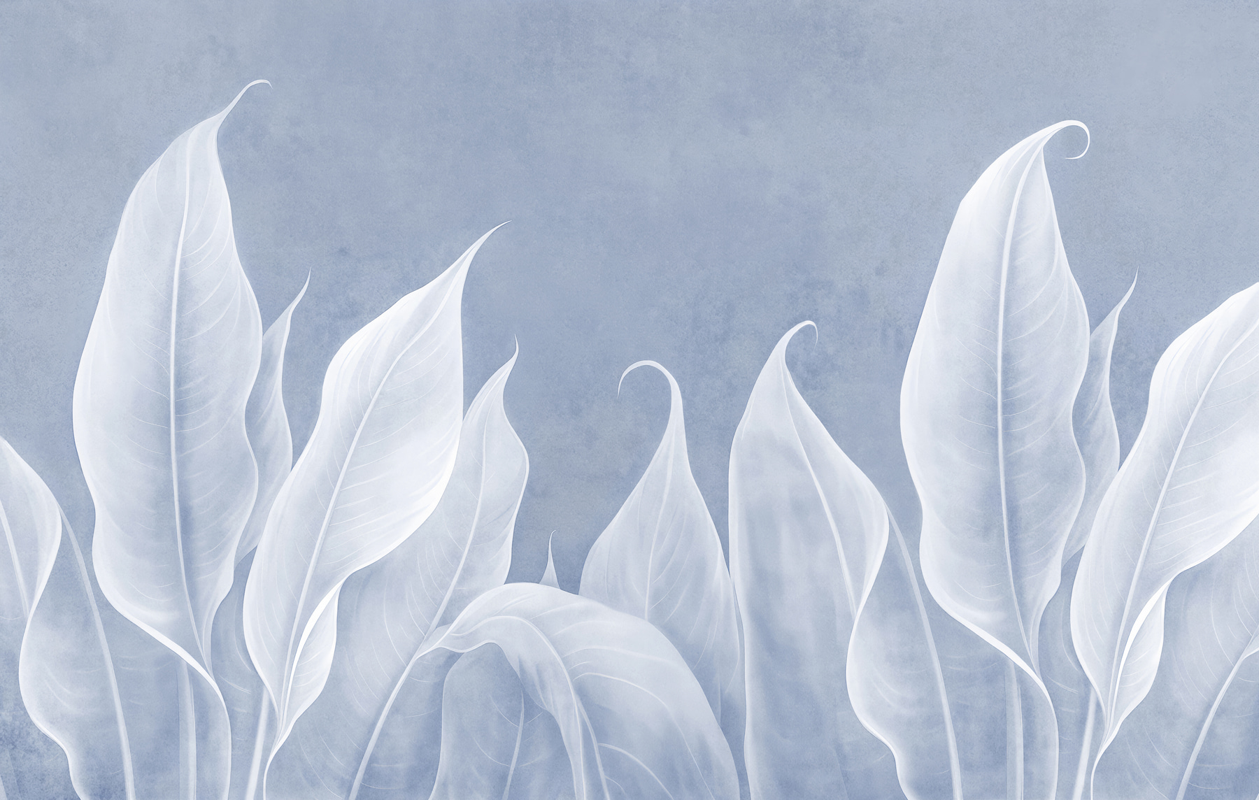 Close up of leaves