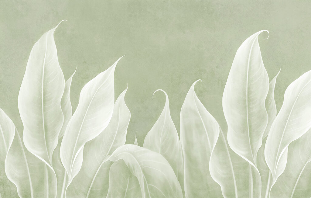 Close up of leaves