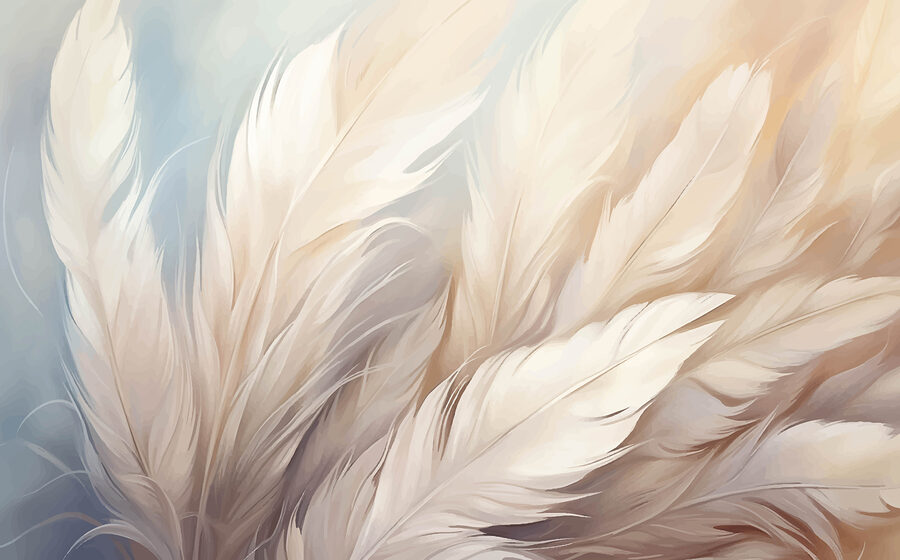 Primer plano de plumas
