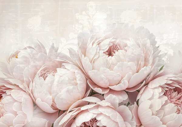 Group of pink flowers