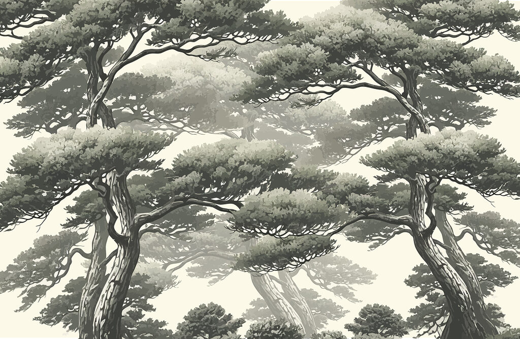 Group of trees with many branches