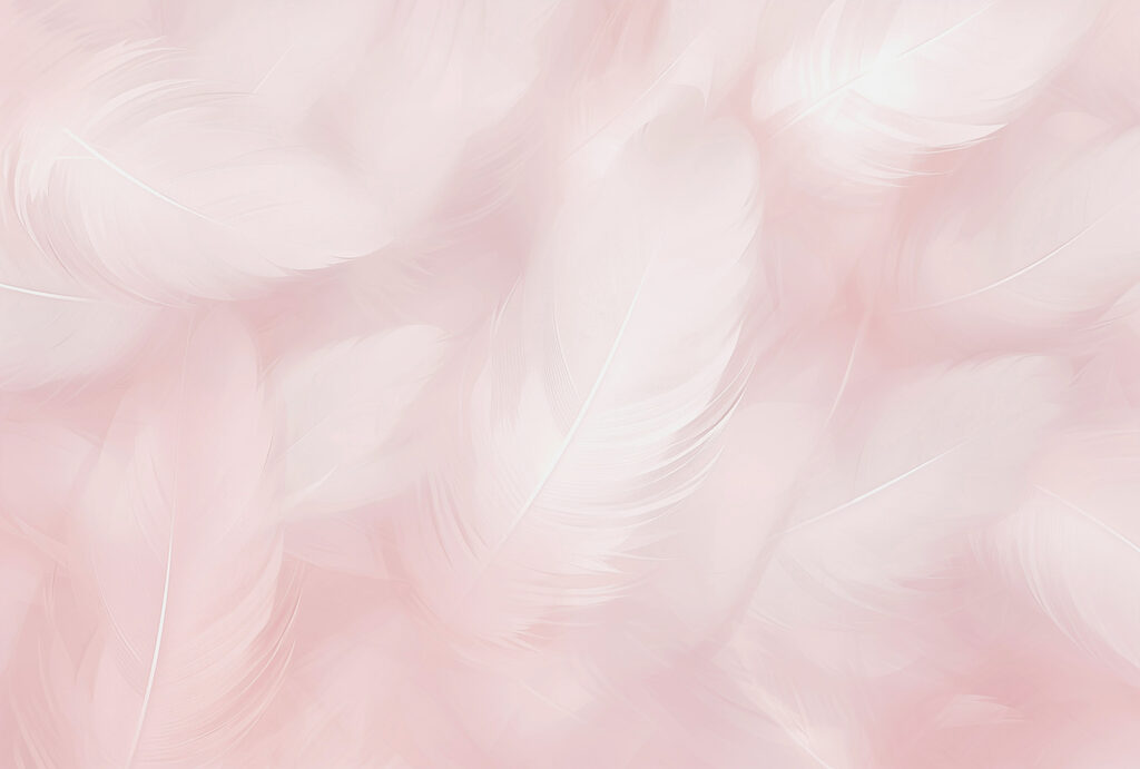 Close up of feathers