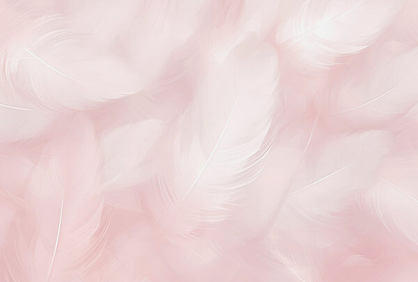 Close up of feathers