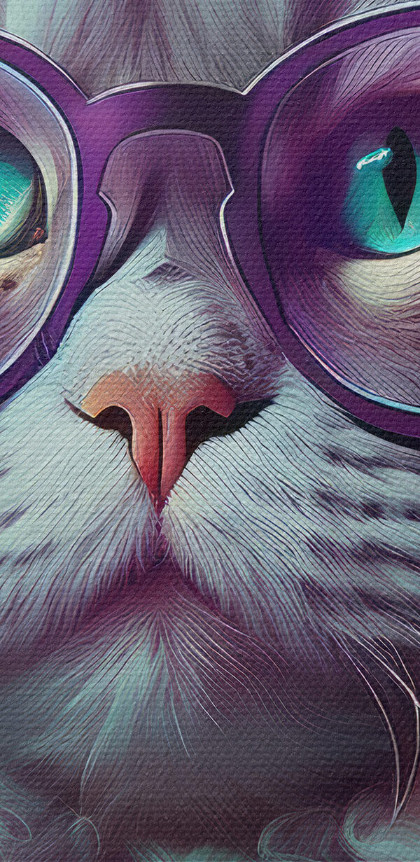 Cat wearing glasses