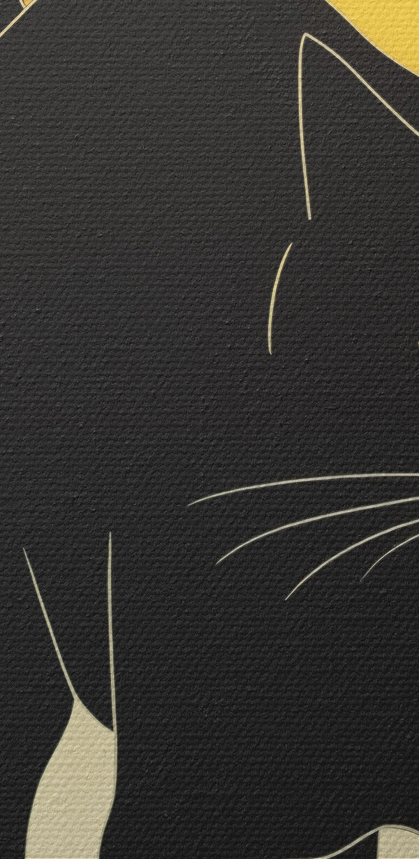 Black cat walking down a street Black cat walking down a street