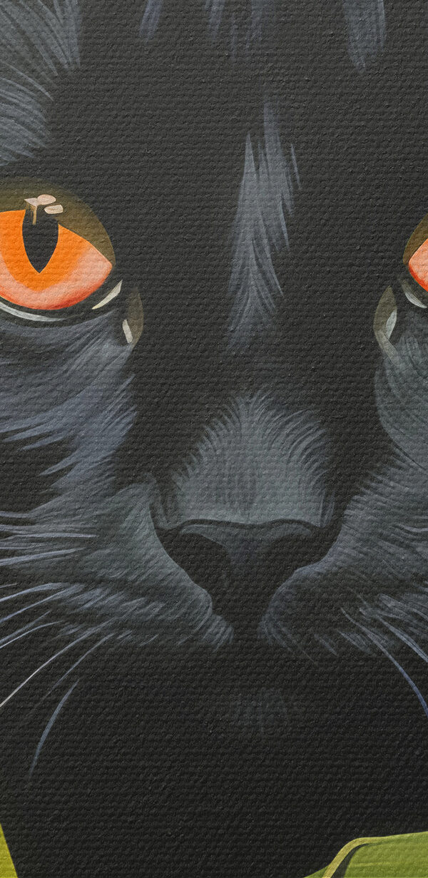 Black cat with orange eyes peeking through tall green plants Black cat with orange eyes peeking through tall green plants