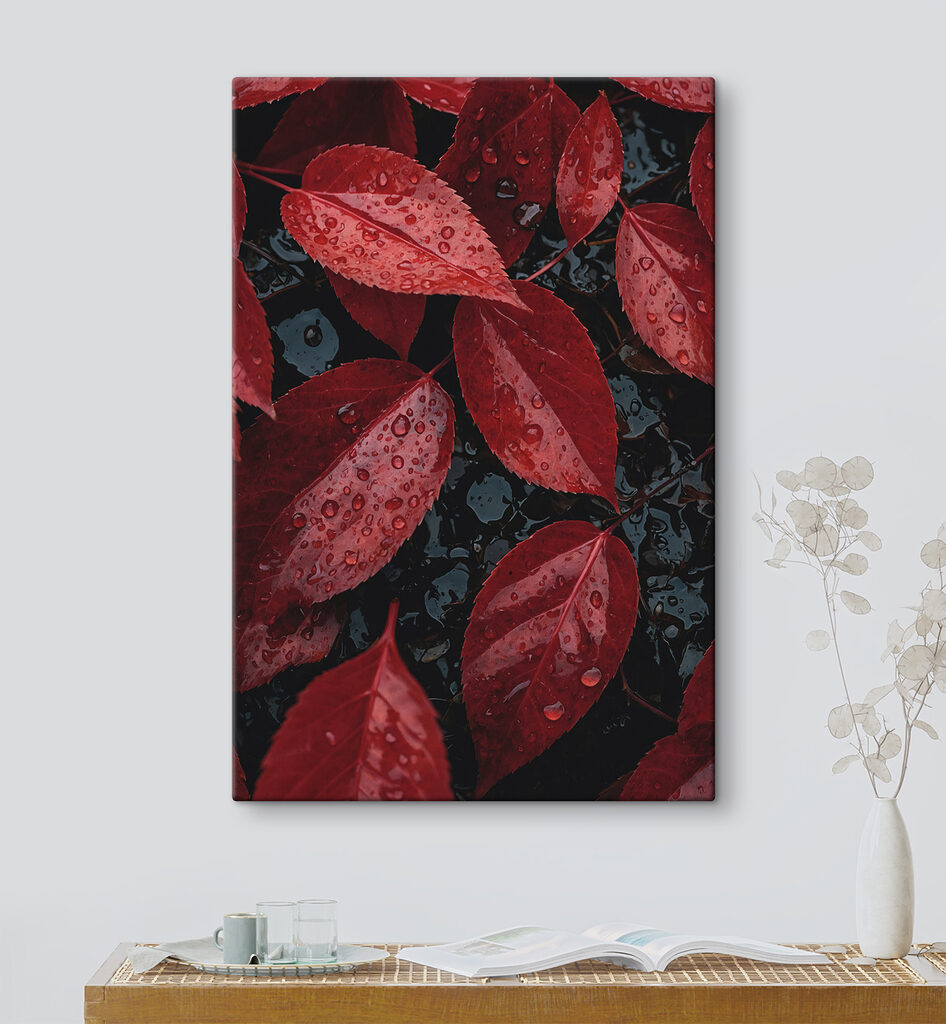 Red leaves with water droplets on them Red leaves with water droplets on them