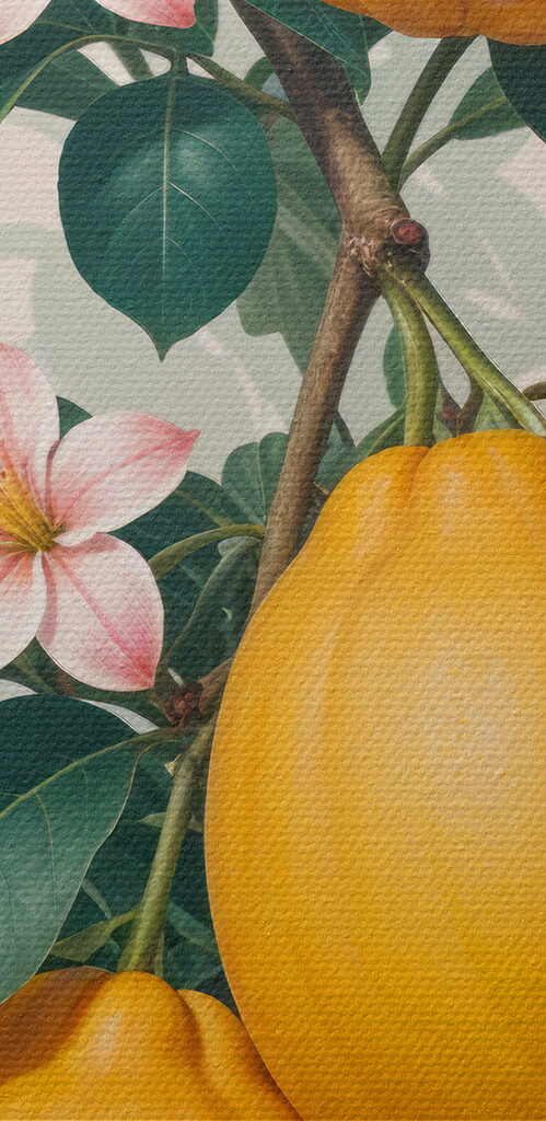Group of fruit on a plant Group of fruit on a plant