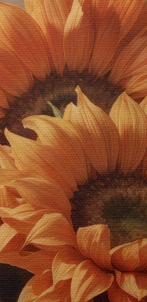 Woman holding sunflowers Woman holding sunflowers