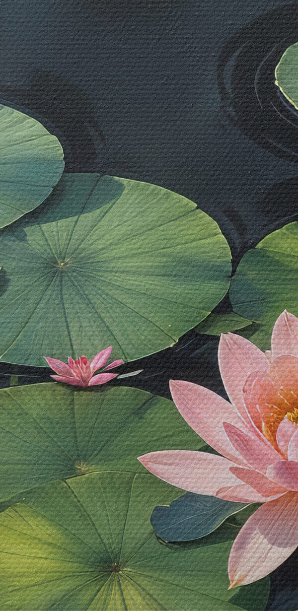 Group of pink flowers and green leaves in a pond
