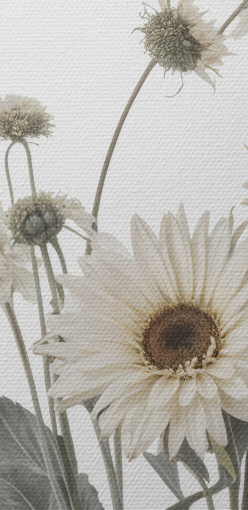 Group of white flowers Group of white flowers