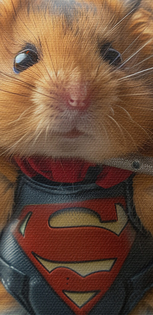 Hamster wearing a superhero garment holding a barbell