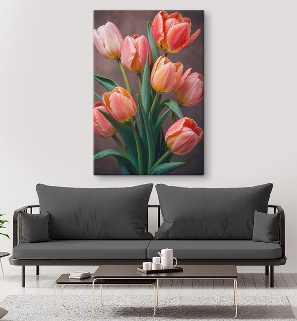 Group of pink and yellow tulips Group of pink and yellow tulips