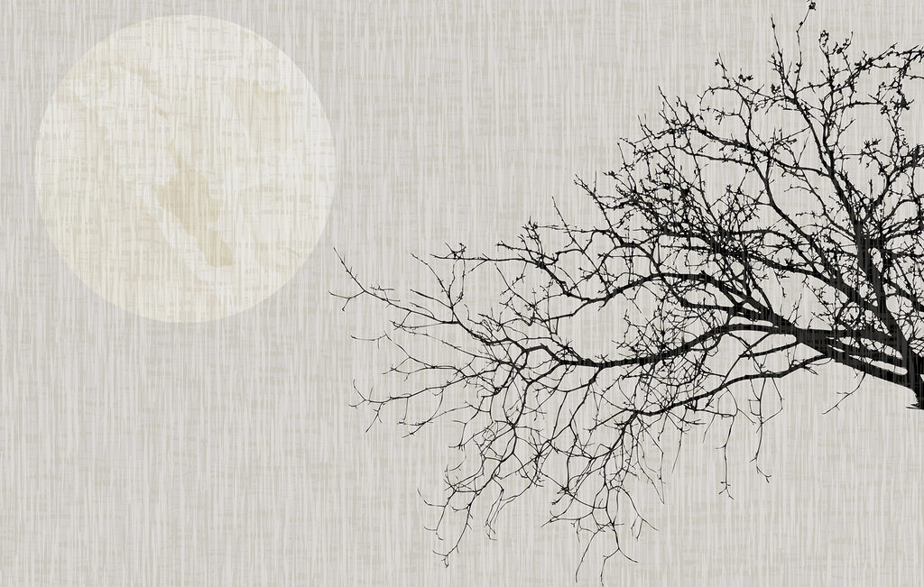 Árbol sin hojas Árbol sin hojas
