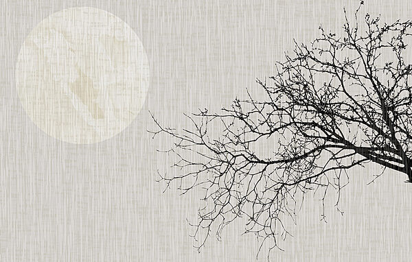 Árbol sin hojas Árbol sin hojas