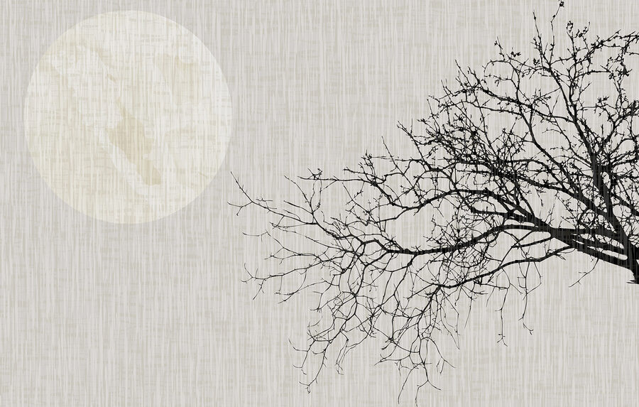 Árbol sin hojas