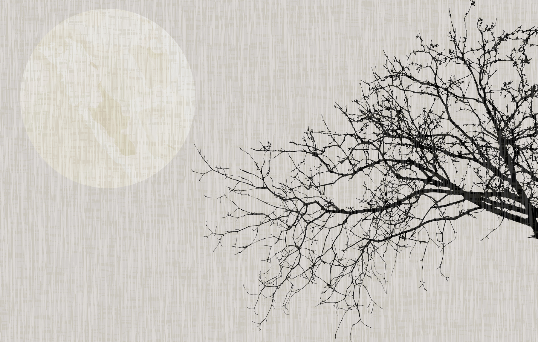 Tree with no leaves