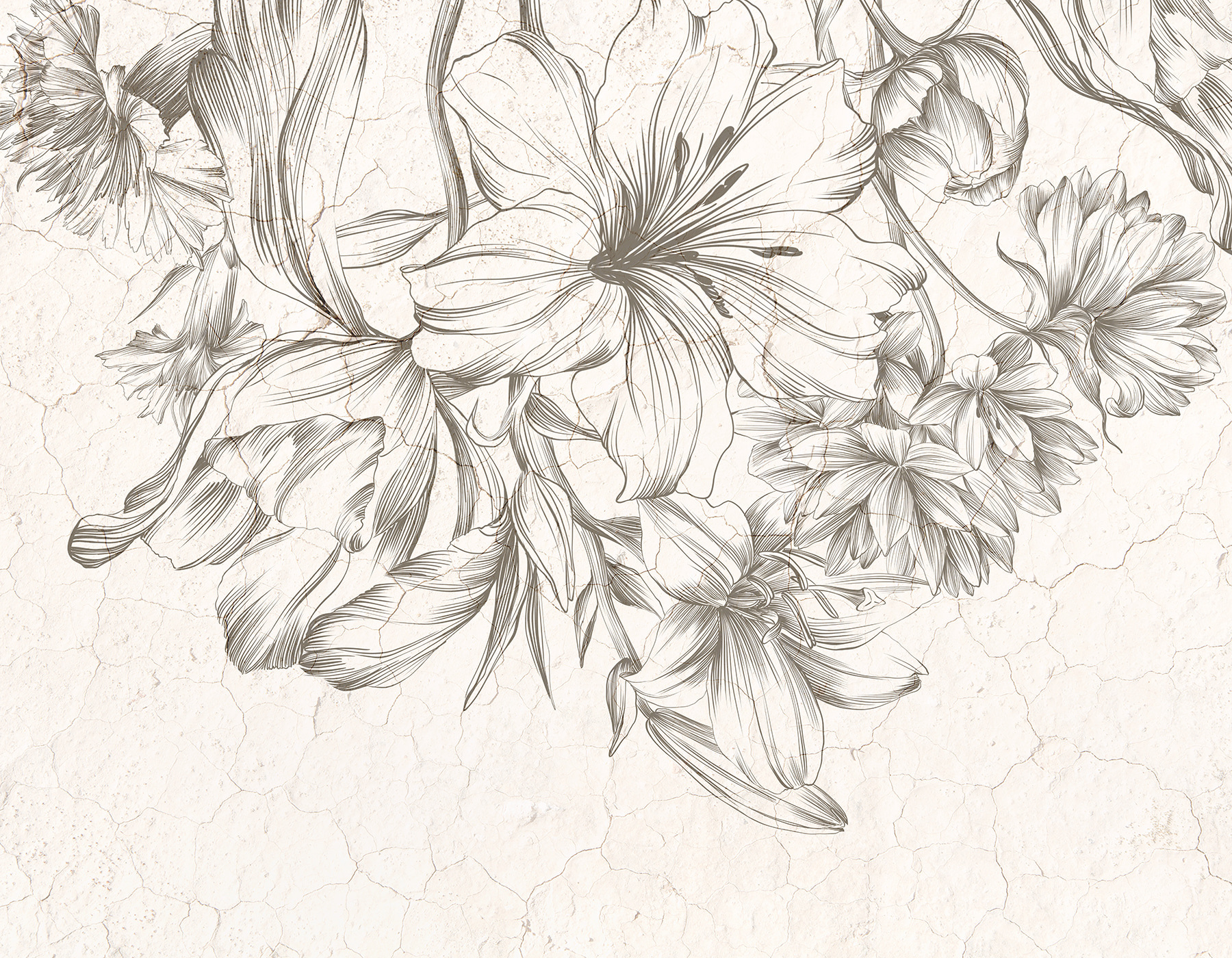 Close up of flowers Close up of flowers