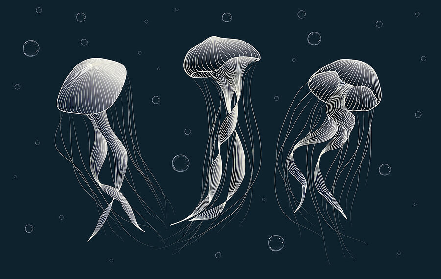Grupo de medusas en el agua