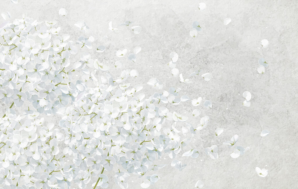 Manojo de flores blancas Manojo de flores blancas