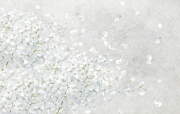 Manojo de flores blancas Manojo de flores blancas