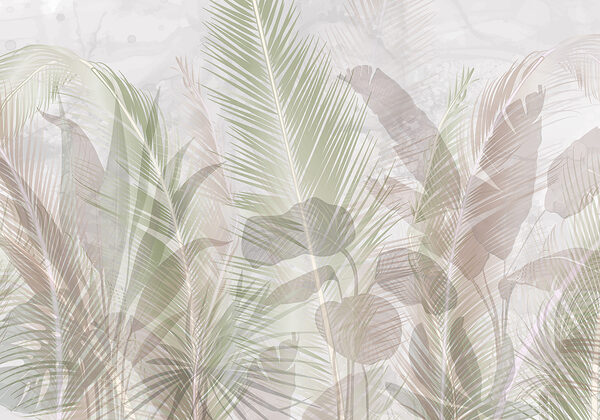 Close up of leaves Close up of leaves