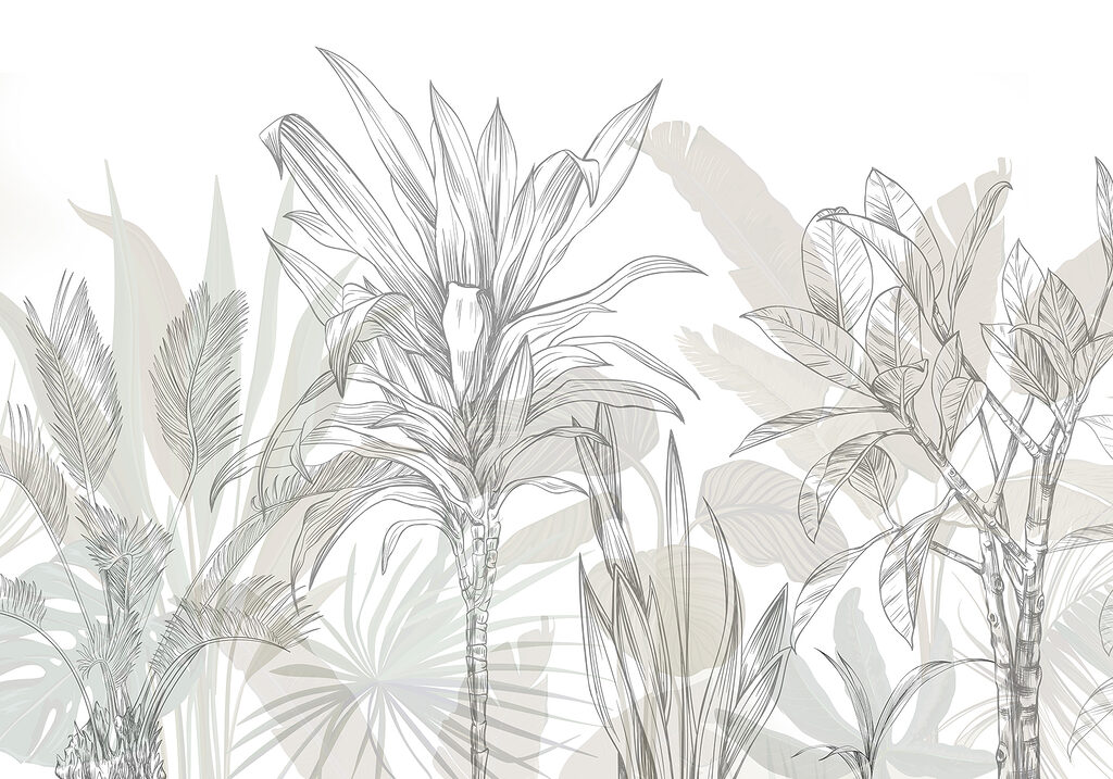 Close up of plants Close up of plants