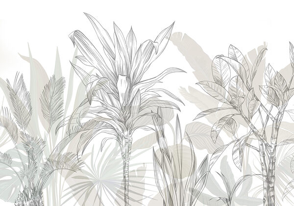 Close up of plants Close up of plants