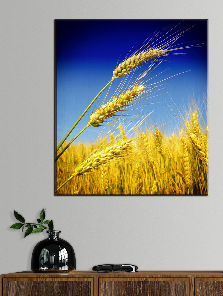 Close up of wheat Close up of wheat