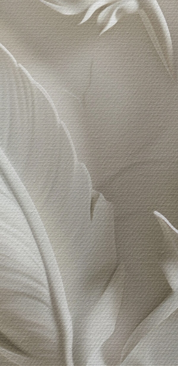 White feather carving on a wall