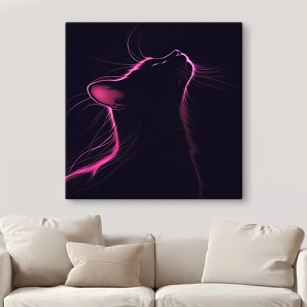 Cat with pink lights