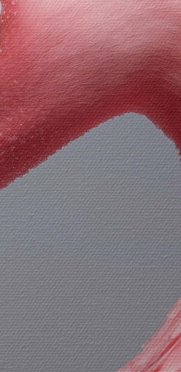 Close up of a pink flamingo