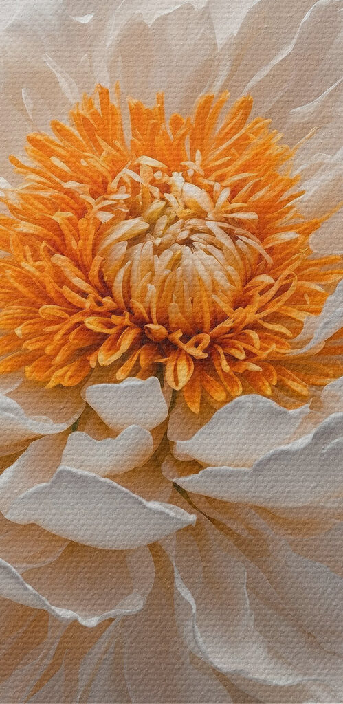 White flower with orange center White flower with orange center