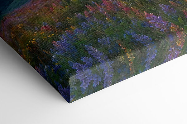 Field of flowers on a mountain Field of flowers on a mountain