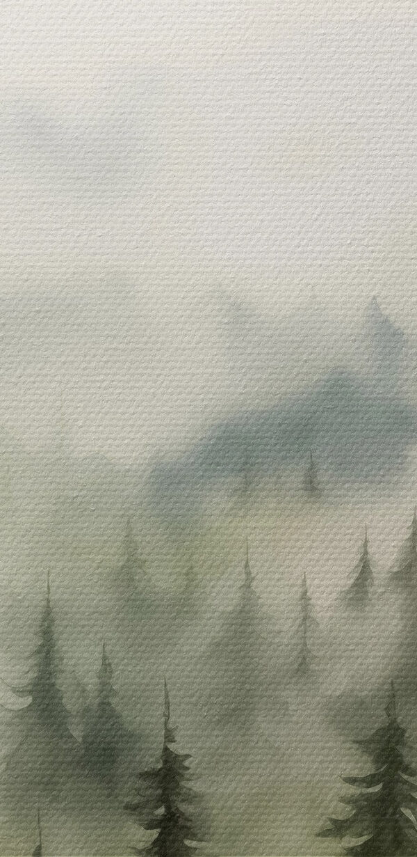 Foggy forest with trees