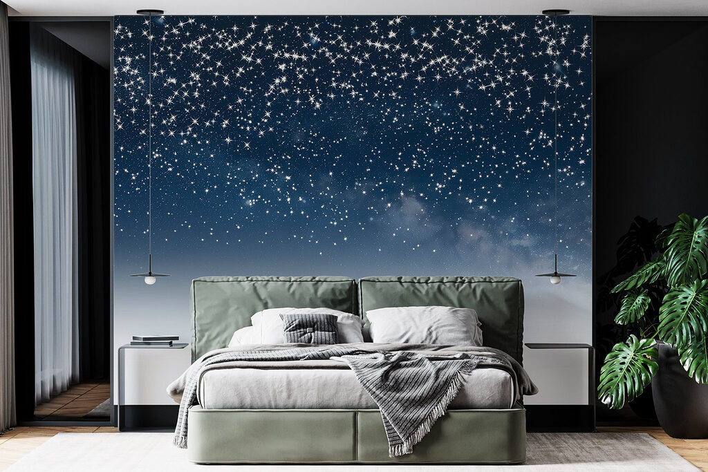 Stars in the sky