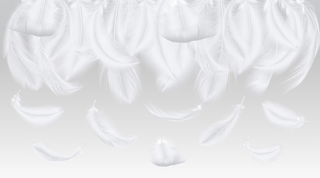 Plumas blancas cayendo Plumas blancas cayendo