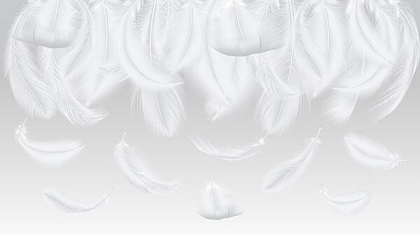 Plumas blancas cayendo Plumas blancas cayendo
