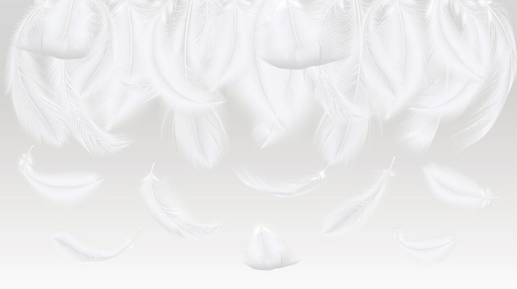 Plumas blancas cayendo Plumas blancas cayendo