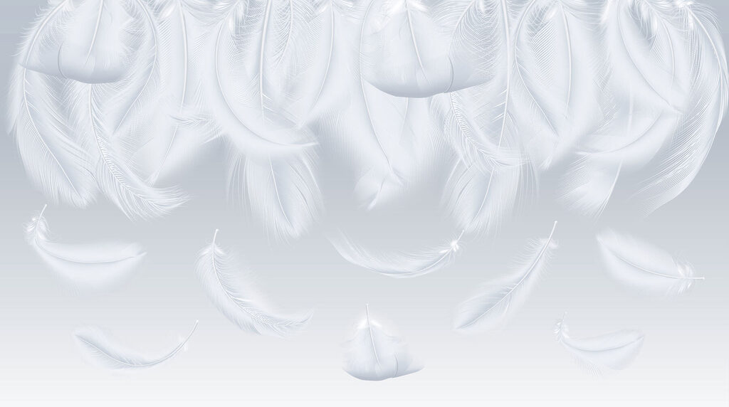 White feathers falling down