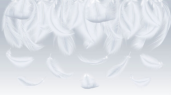White feathers falling down